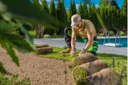 Rasen anlegen: Schritt-für-Schritt zur perfekten Grünfläche